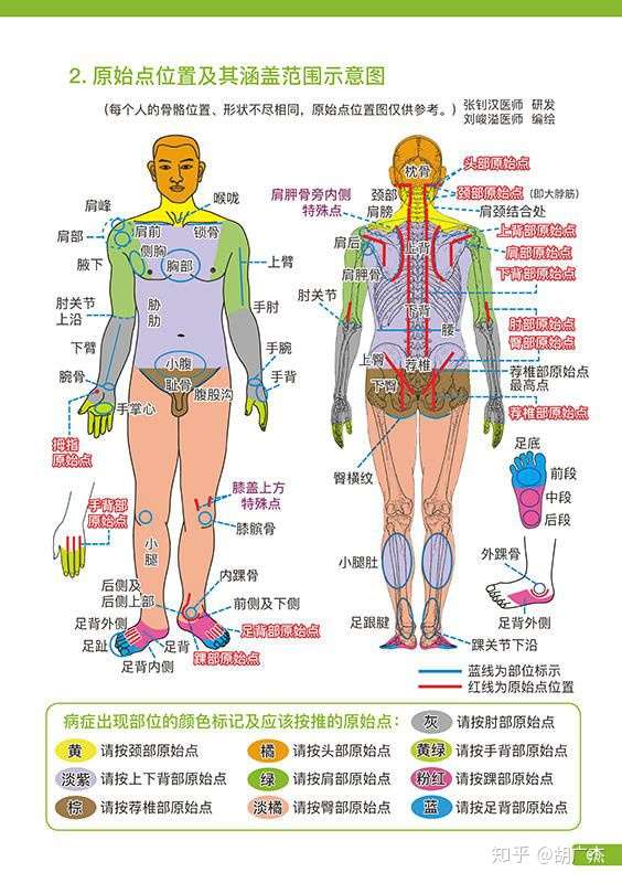 女性身体疼痛部位图解图片