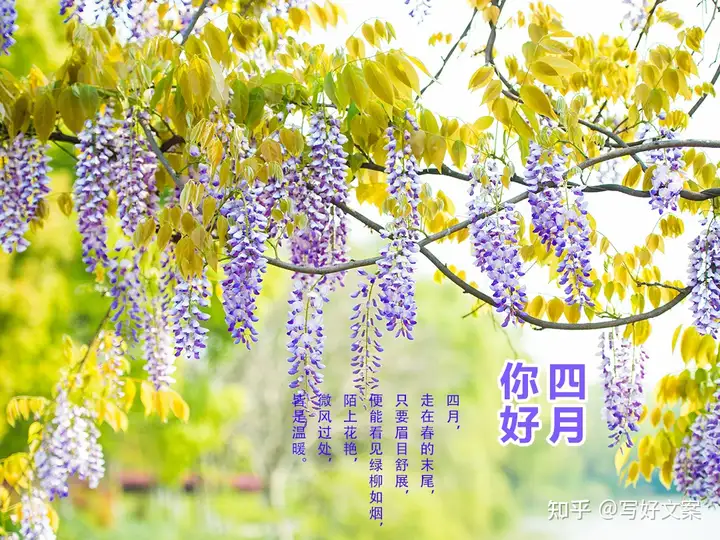 3月再见，4月你好！四月发朋友圈的唯美文案15句