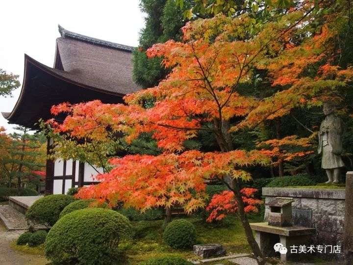 日本旅游 京都に行きませんか 知乎