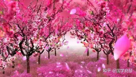 桃花，是最美的春日诗词- 知乎