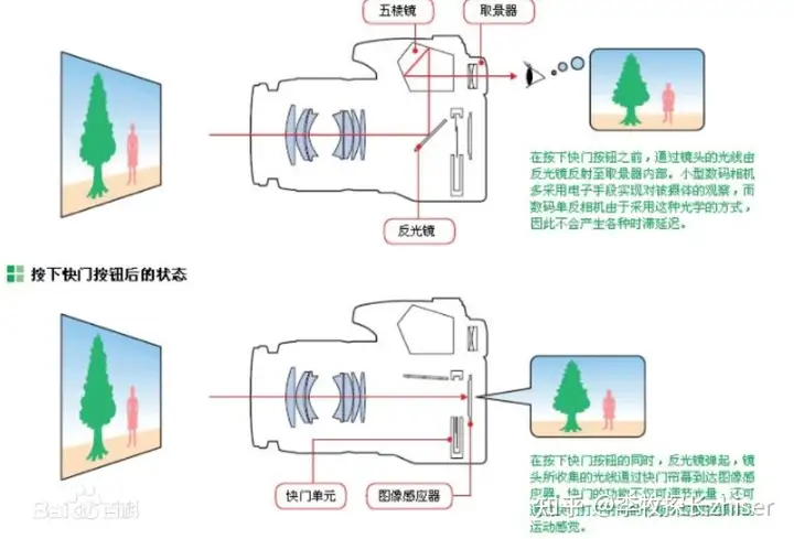 单反相机什么牌子好？单反相机性价比排行