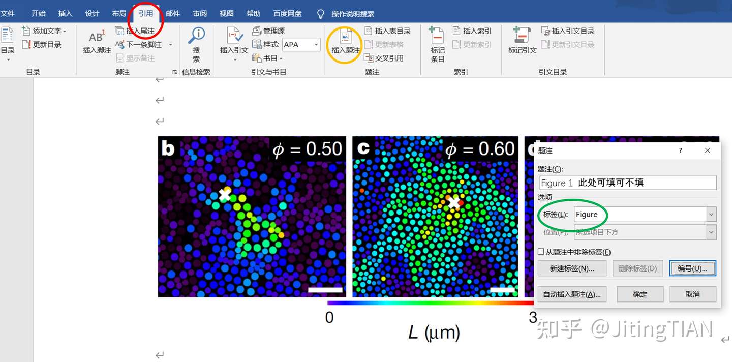 Word小技巧 图目录如何只显示图注的第一句话 或部分内容 知乎