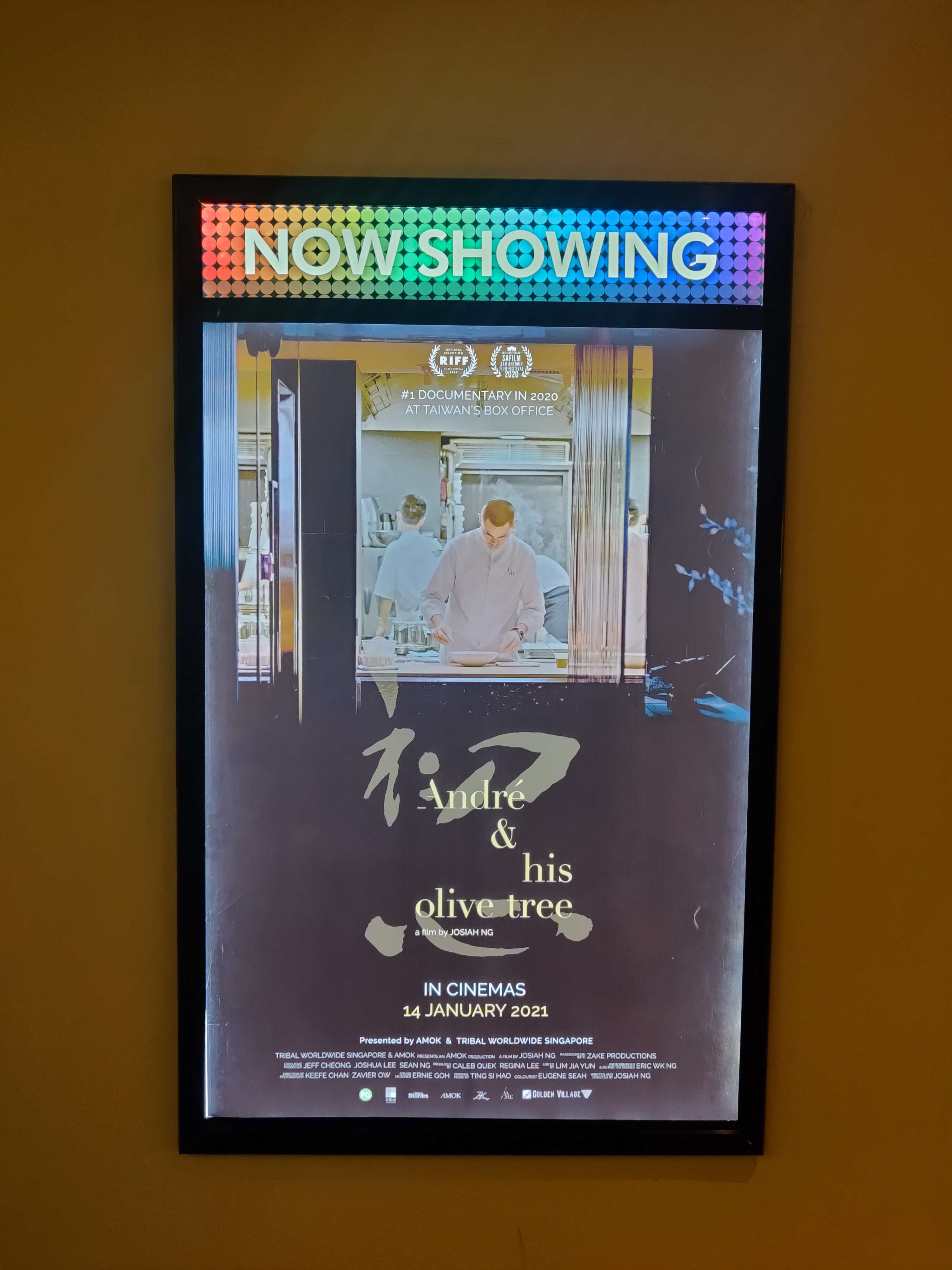 去电影院看了江振诚的纪录片初心安德烈跟他的橄榄树