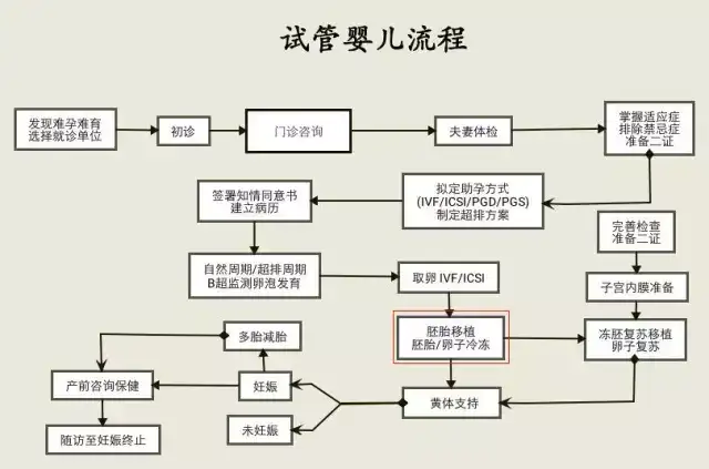地下供卵试管可靠吗（【试管流程·移植】胚胎移植流程及注意事项）