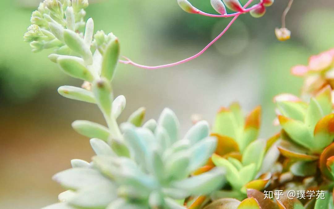 10月22日 10月28日生日书 星星王子陪你过生日 知乎