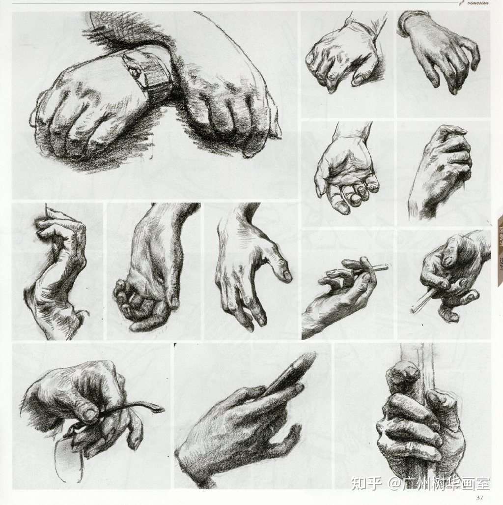 速写手部的刻画