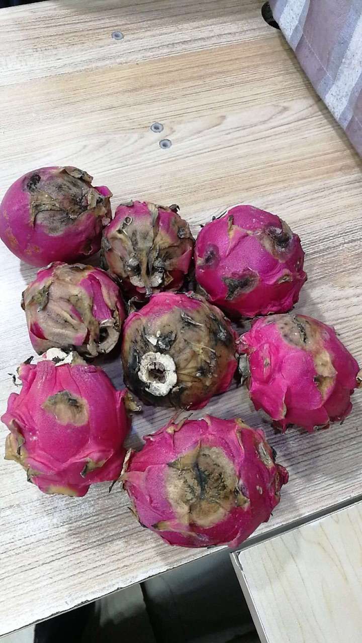 淘宝买水果收到都坏了我有权申请退款吗