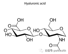 水解透明质酸(低分子量透明质酸)low molecular weight hyaluronic