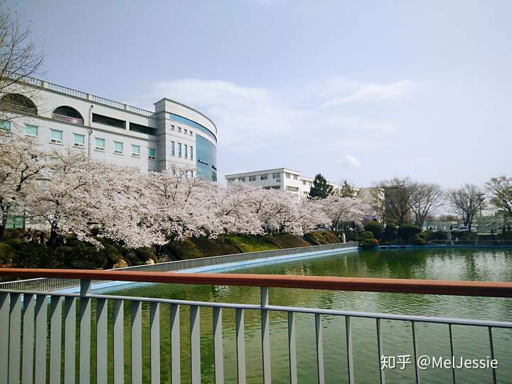 韩国圆光大学交换生?