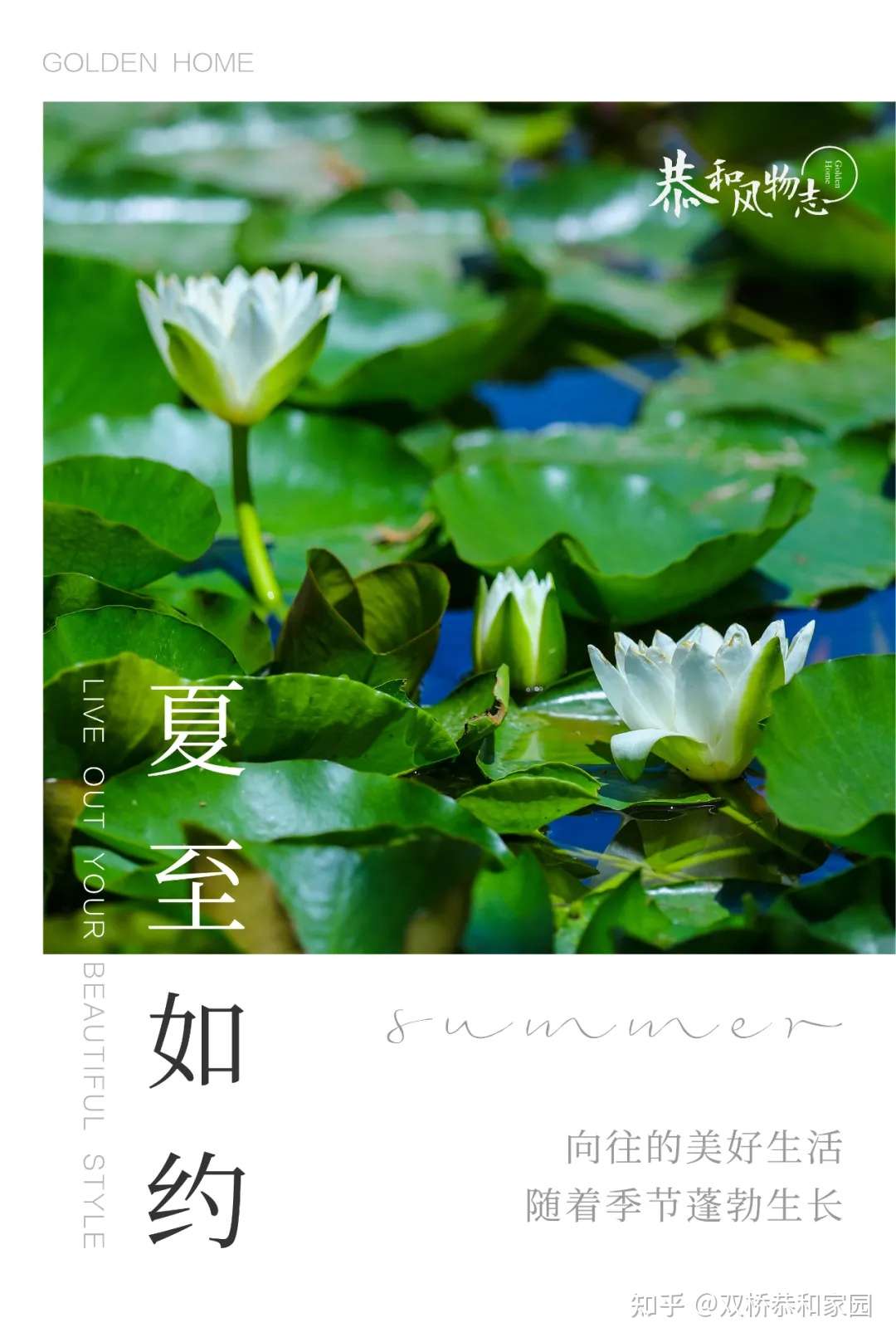 恭和风物志 12张壁纸 让长夏之美穿越四季 知乎