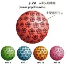 關於hpv疫苗這些知識一定要知道