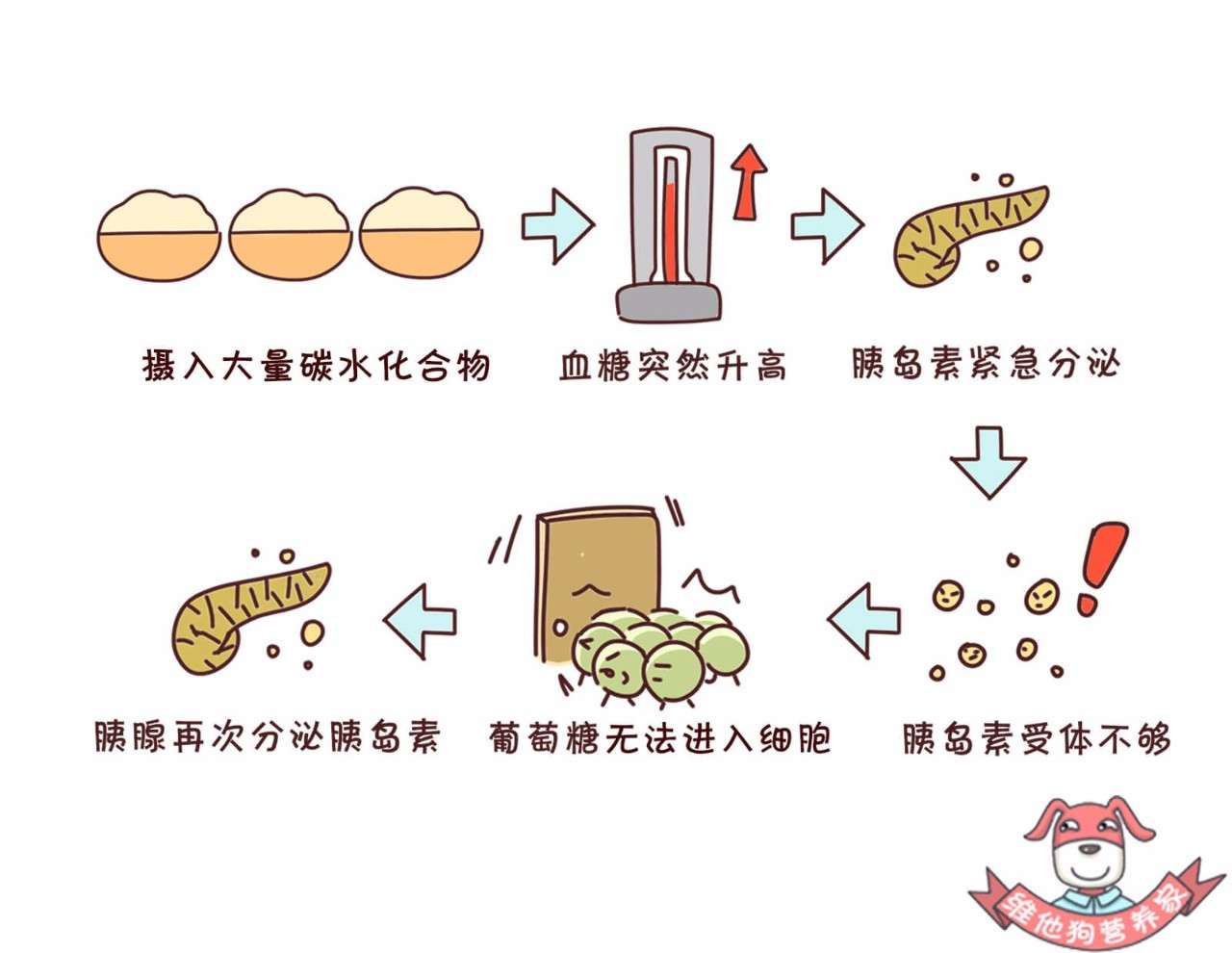 吃完饭就想睡觉 背后真相可不只是吃饱那么简单 知乎