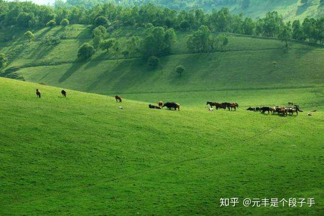 宝鸡 关山牧场 知乎