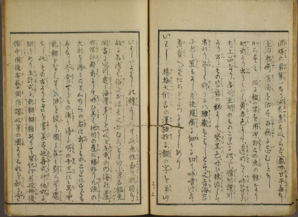 沙丁魚圖譜幾則 知乎