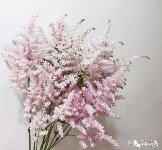 花束配材篇 教你打造独一无二的高颜值花束 一 知乎