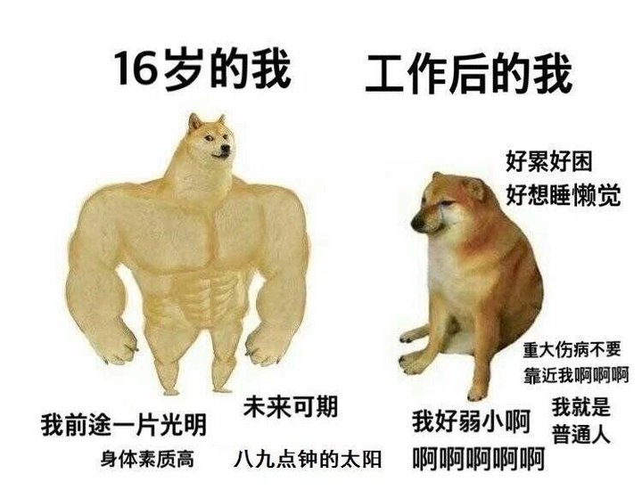 为什么做百度竞价效果越来越差?|世峰SEO-关注网站SEO优化与各类实用教程的分享