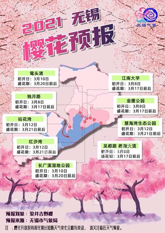 21无锡樱花预报出炉 史上最热2月 致花期提前约10天 知乎