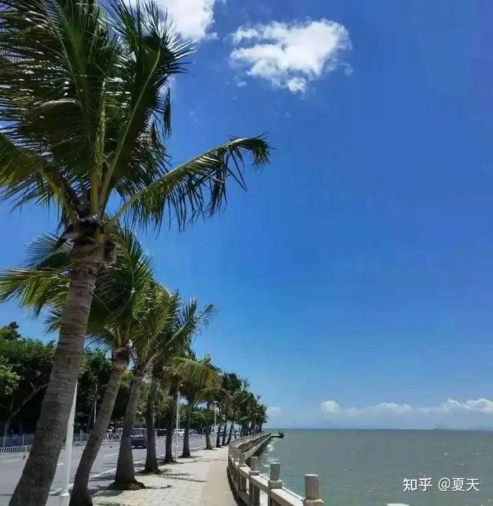 “珠海&东澳岛”の旅游攻略插图(29)