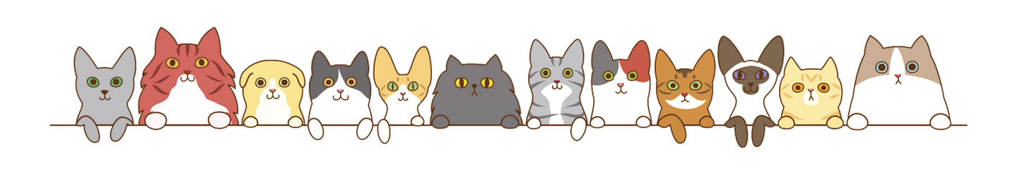 术后宠物如何快速恢复 知乎