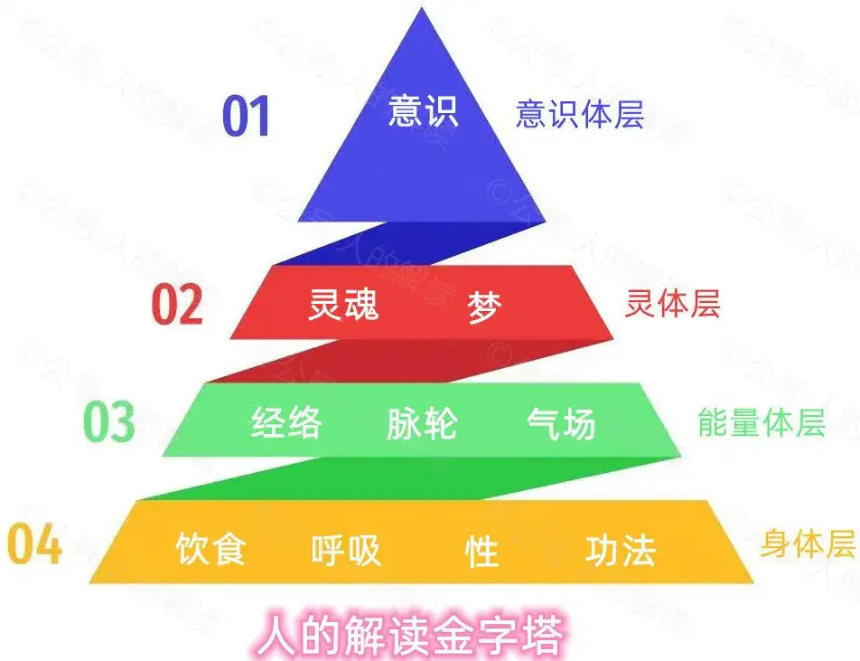 长了八年的生命树,助力你的人生路-人的解读