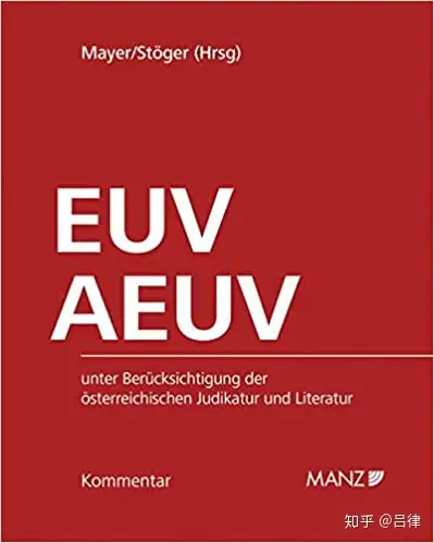 吕律：gg, bverfgg, emrk, eu grcharta, euv, aeuv都是什么法？