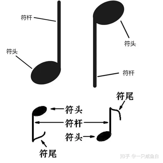 02 什么是音符 一 知乎