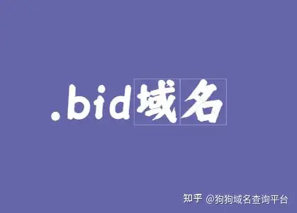 什么是.bid域名