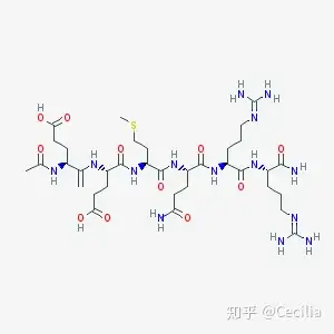 多肽乙酰基六肽8乙酰基六肽3