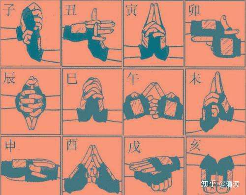 火影忍者有多少手势