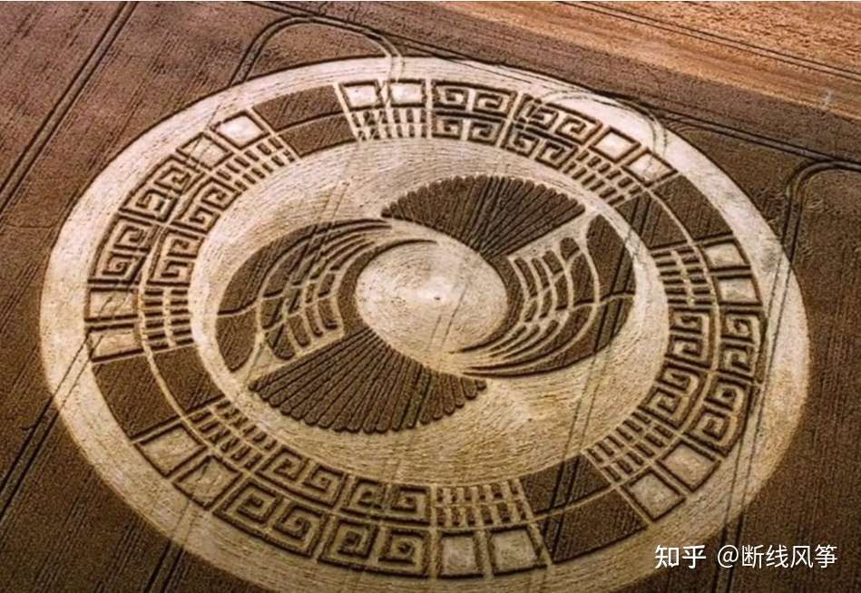 麦田怪圈事件 知乎