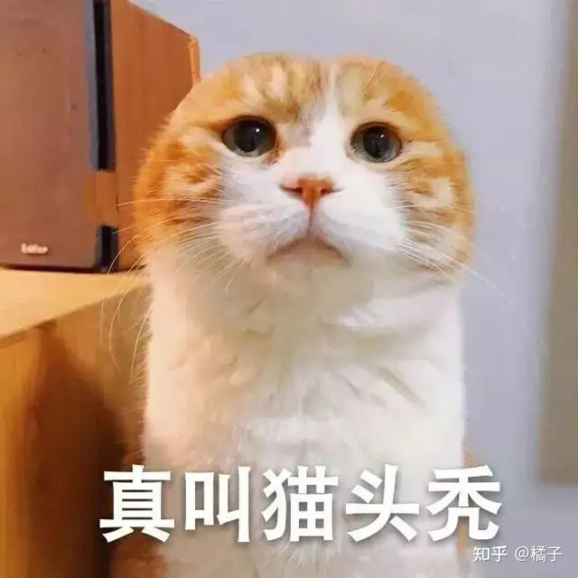 猫咪掉毛严峻是什么原因？有什么处理法子？（猫掉毛很严峻什么原因）