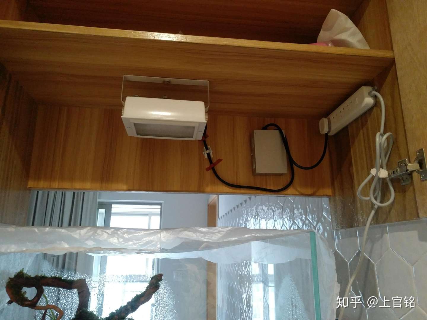 聊一聊我的水草缸造景历程 知乎