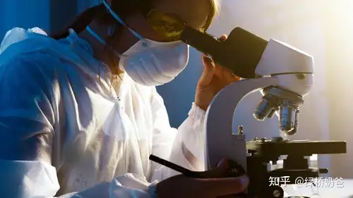 成都借卵费用（广州试管选男孩流程和费用详解）