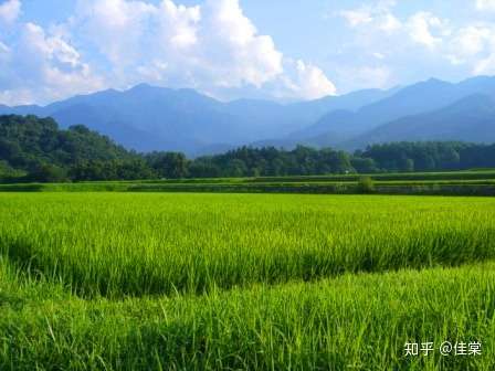 季節の大和言葉100選 夏の言葉２５選 知乎