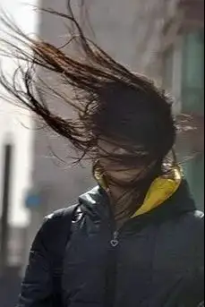 对不起风太大了就像个流氓动手动脚还吹脸