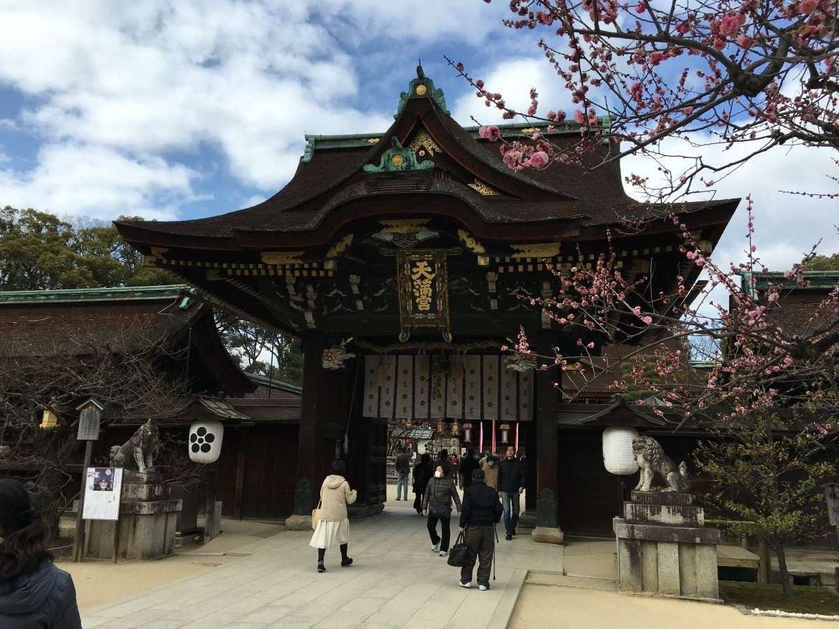 京都四百八十寺 知乎