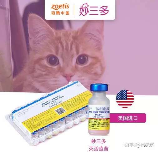 猫咪疫苗详细介绍 什么是猫三联 猫三联打几针 怎么打 知乎