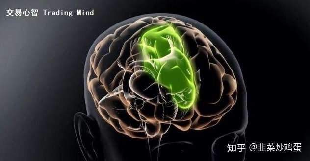 交易时如何才能达到相对客观理性的判断?