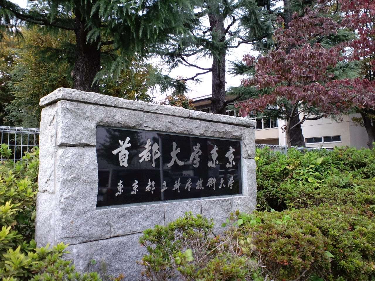 日本大学介绍 首都大学东京 知乎