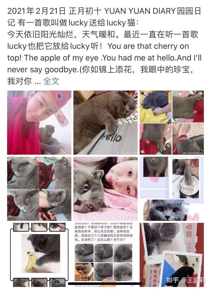 21年2月21日正月初十园园日记 有一首歌叫做lucky送给lucky猫 知乎