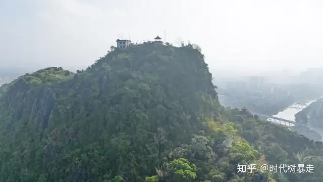 广西一座山因张馨予打卡成网红（广西65座大山被连夜炸平） 第10张