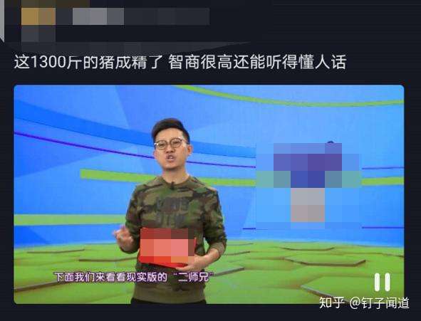 抖音有哪些暴利的赚钱方法,抖音灰产暴利赚钱技巧插图(16) 抖音有哪些暴利的赚钱方法,抖音灰产暴利赚钱技巧
