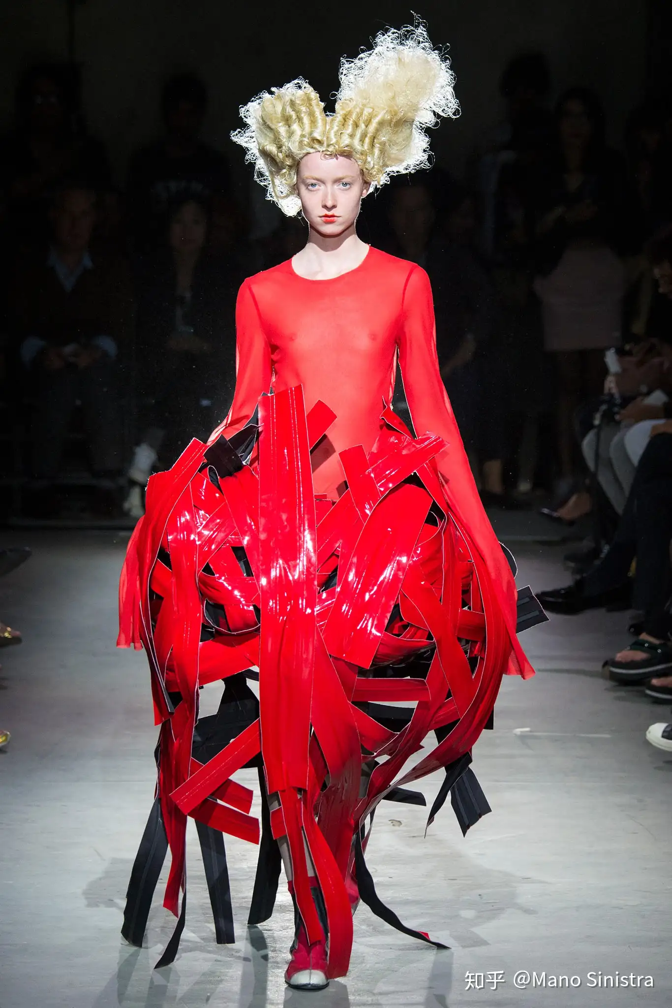 Comme des Garcons 2015 SS Roses and Blood - 知乎