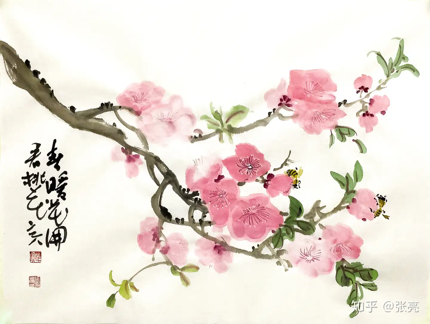 桃花,春日意思- 知乎
