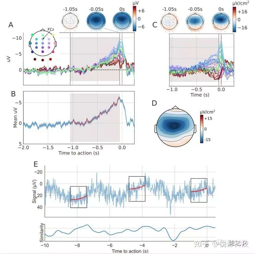Neuroimage 准备电位是否只在运动前出现 知乎
