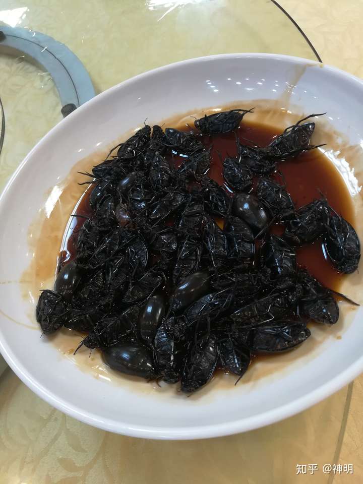 (像蟑螂,但蟑螂没这么黑,应该不是.吧) (也不是屎壳郎.