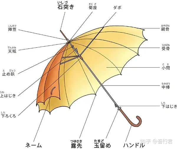 日语中【傘】各部位读法- 知乎