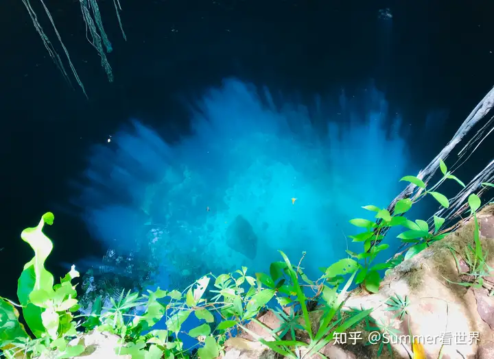 想去墨西哥坎昆玩，遍地的遗址和6000多个天坑(cenote - 墨华网 (图18)