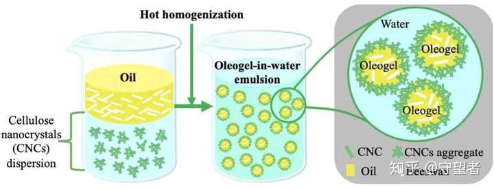 foodhydrocolloids纳米微晶纤维素稳定水包油凝胶pickering乳液的制备