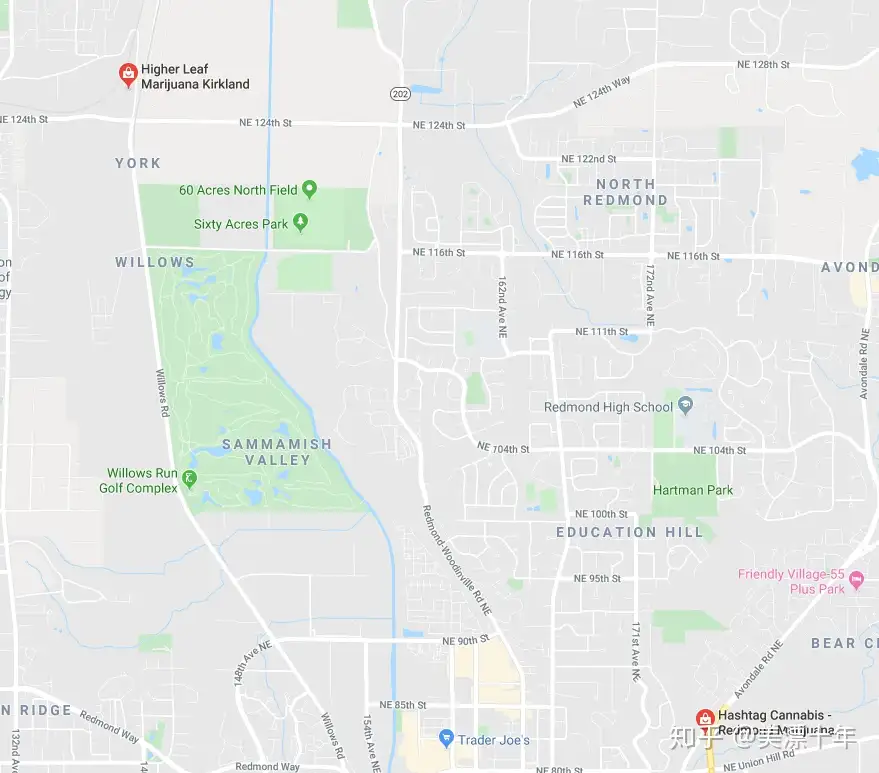 大麻 吸一口民主的味道 知乎